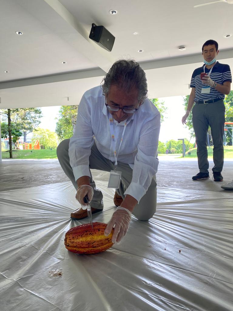 Colombia presente en el seminario “Introducción al cultivo de cacao y a su procesamiento post cosecha”